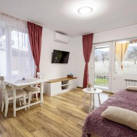 Villa Nikol Apartment #1，位于Raduil的酒店