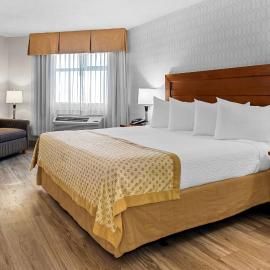 Best Western PLUS Langley Inn，位于兰利的酒店