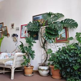 Tamari Guest House，位于泰拉维的酒店