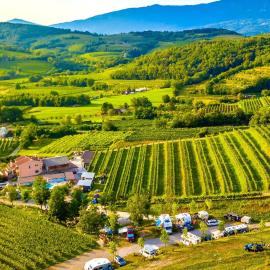 Saxida Wine & Camping Resort - Campsite，位于Dornberk的酒店