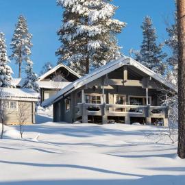 Ski-in/out | Sauna | Pets OK | Terrace | Parking