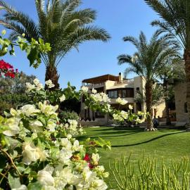 palm shadow resort，位于Tunis的酒店
