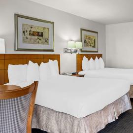 Best Western Socorro Hotel & Suites,位于索科罗的酒店