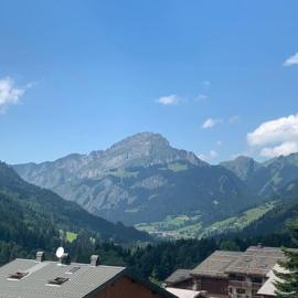 Appartement 4 personnes Châtel，位于沙泰勒的酒店