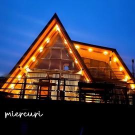 Cabana Apuseni Wild，位于Valea Lupşei的酒店