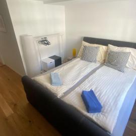 Zentrales Schloss Apartment，位于阿尔邦的酒店
