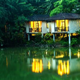 Banbas Resort, Chitwan，位于奇旺的酒店
