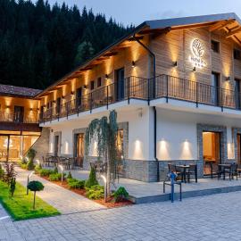 Hotel INA，位于博尔沙的酒店