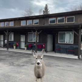 Corral Villas Yellowstone，位于加德纳的酒店