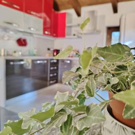 Hygge Guesthouse，位于Condove的酒店