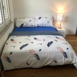 Chambre spacieuse, lumineuse et reposante