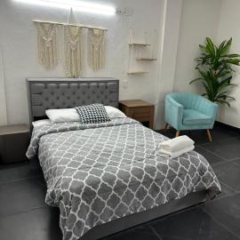 Royal Hotel Centro，位于科苏梅尔的酒店