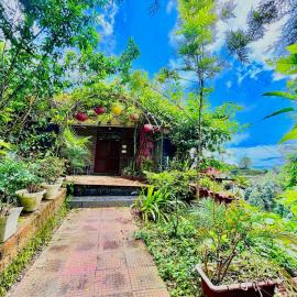 ZenRoofs- 5BHK Private Villa，位于德拉敦的酒店