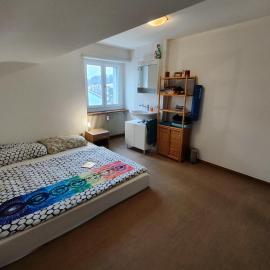 CozyStay near Basel，位于明兴施泰因的酒店