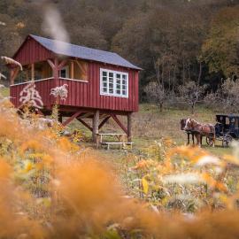 Valea Verde Retreat Transilvania,位于Cund的酒店