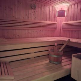Studio avec sauna privé，位于沙泰勒圣但尼的酒店