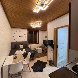 Magnifique Studio de 20m2 pour 1 à 4 personnes，位于莱鲁斯的酒店