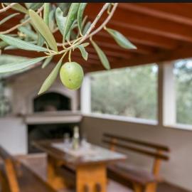 HOLIDAY HOUSE Ose，位于米尔希的酒店
