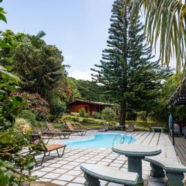 Cabañas La Pradera，位于蒙泰韦尔德哥斯达黎加的酒店