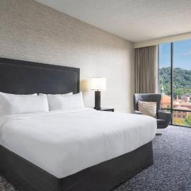 Renaissance Asheville Downtown Hotel,位于阿什维尔的酒店