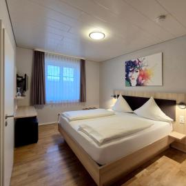 Hotel Mäuerle，位于林道的酒店