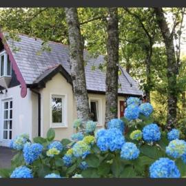 Cute cottage for short getaway，位于Cross Mahon的酒店