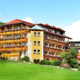 Hotel Sonnenblick，位于Schwabthal的酒店