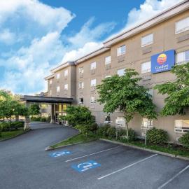 Comfort Inn & Suites，位于兰利的酒店