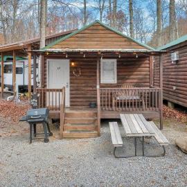Pet Friendly Studio Cabin in Gatliburg，位于加特林堡的酒店