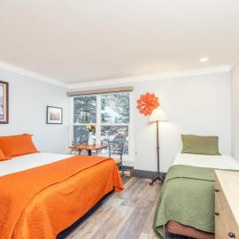 Mountainside Inn 103 by Alpine Lodging Telluride，位于特柳赖德的酒店