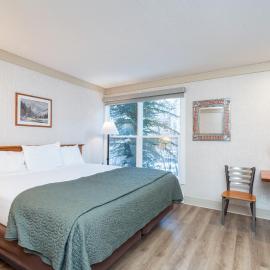 Mountainside Inn 201 by Alpine Lodging Telluride，位于特柳赖德的酒店