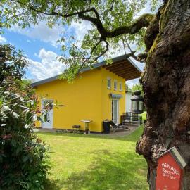 Tiny house with gallery and garden for 3 people，位于Vellmar的酒店