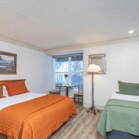 Mountainside Inn 418 by Alpine Lodging Telluride，位于特柳赖德的酒店