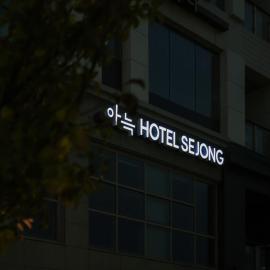 Anook Hotel Sejong,位于Sejong的酒店