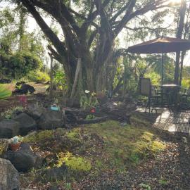 Majestic Banya tree cabin，位于芒廷维尤的酒店