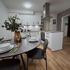 Urban Living Ferchergasse,位于维也纳的酒店