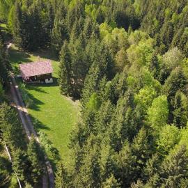 Casa Maria - Feel the Exceptional Spirit of Nature - with Jacuzzi，位于Călăţele的酒店