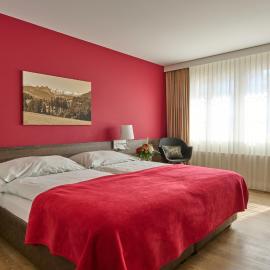 Hotel Ochsen，位于Menzingen的酒店