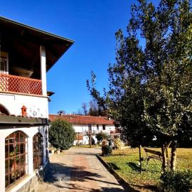 Villa Sant'Anna, Appartamento con palestra，位于特罗法雷洛的酒店
