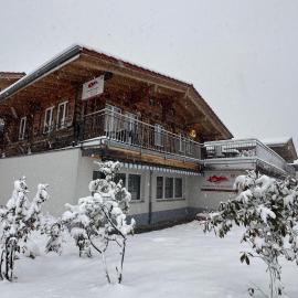 Swiss Chalet Holidays Ringgenberg，位于林根贝格的酒店