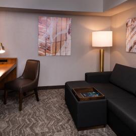 SpringHill Suites by Marriott Pittsburgh North Shore，位于匹兹堡的酒店