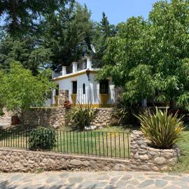 Cabañas Cerro Colonial，位于特拉皮奇的酒店