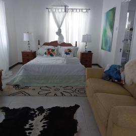 Selens cozy retreat in Ti Rocher Micoud Saint Lucia，位于La Cour Ville的酒店