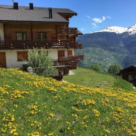 Thyon 4pièces, proche des pistes，位于Hérémence的酒店