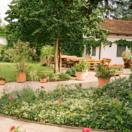 Hotel-Restaurant-Vinothek Felix Sommer，位于Auersthal的酒店