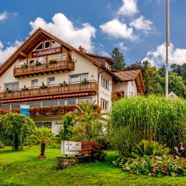 Hotel Neuenfels,位于巴登韦勒的酒店