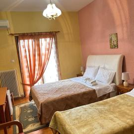 Hotel Aoos，位于科尼察的酒店