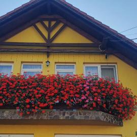 Hazanéző Panzió，位于科伦德的酒店