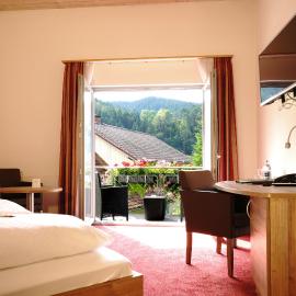 Hotel Waldblick，位于斯堪肯塞尔的酒店
