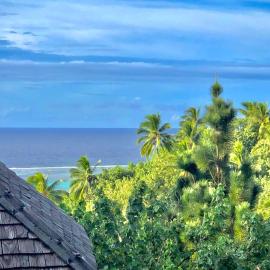 Tropical Escape Villa - Comfort & Serenity Await!，位于Irioa的酒店